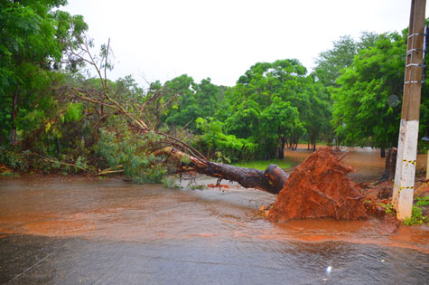 O cenário foi de muita destruição na cidade. (Foto: Aloísio Costa/Informe Cidade).