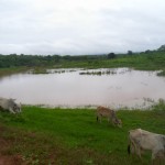 Barragem da Cerquinha