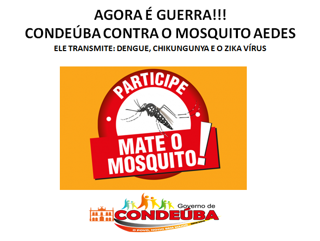 combate mosquito dengue condeuba